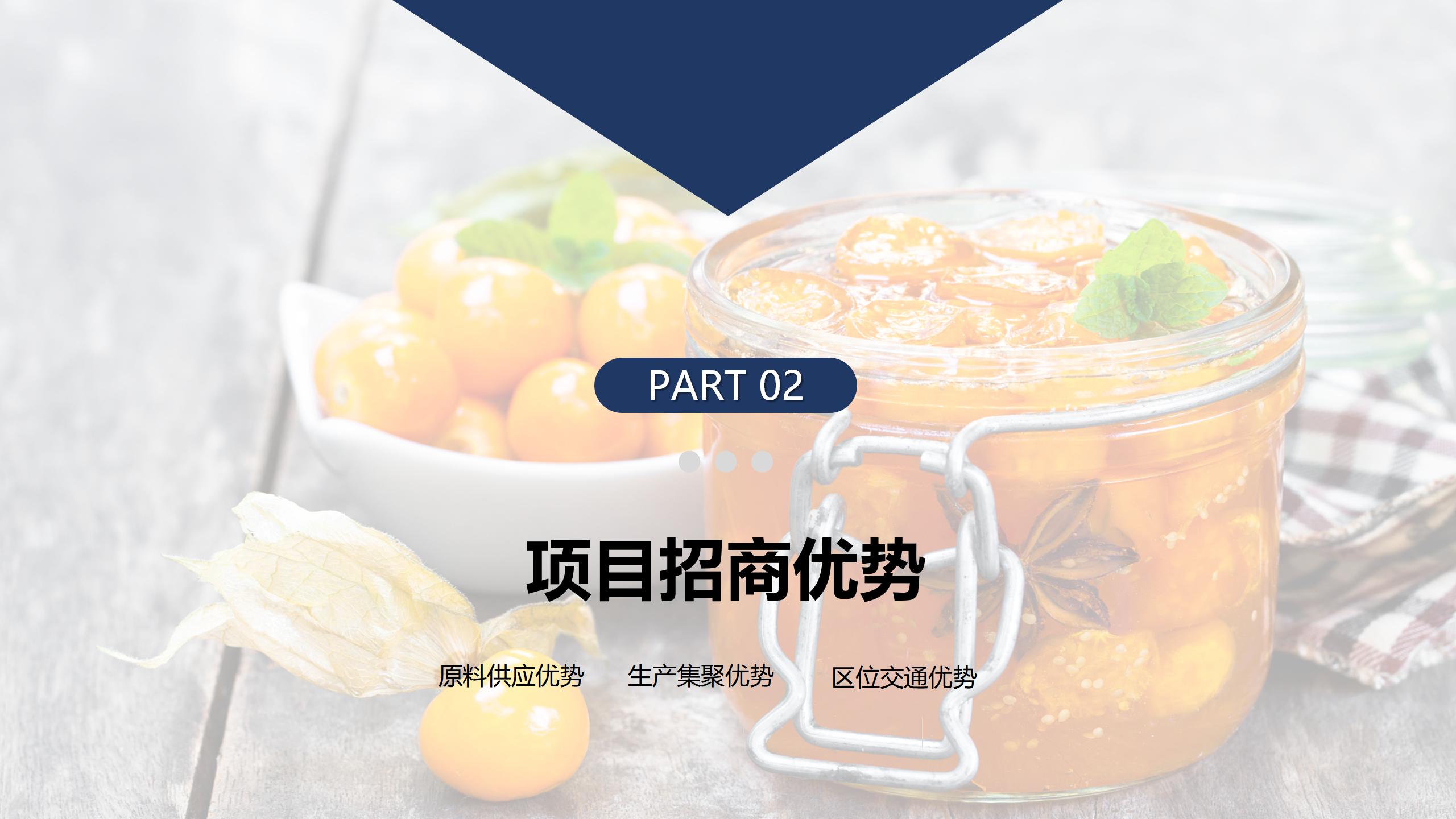 貴陽市觀山湖區(qū)金栗食品產(chǎn)業(yè)園PPT.（20250214）pptx_06.jpg