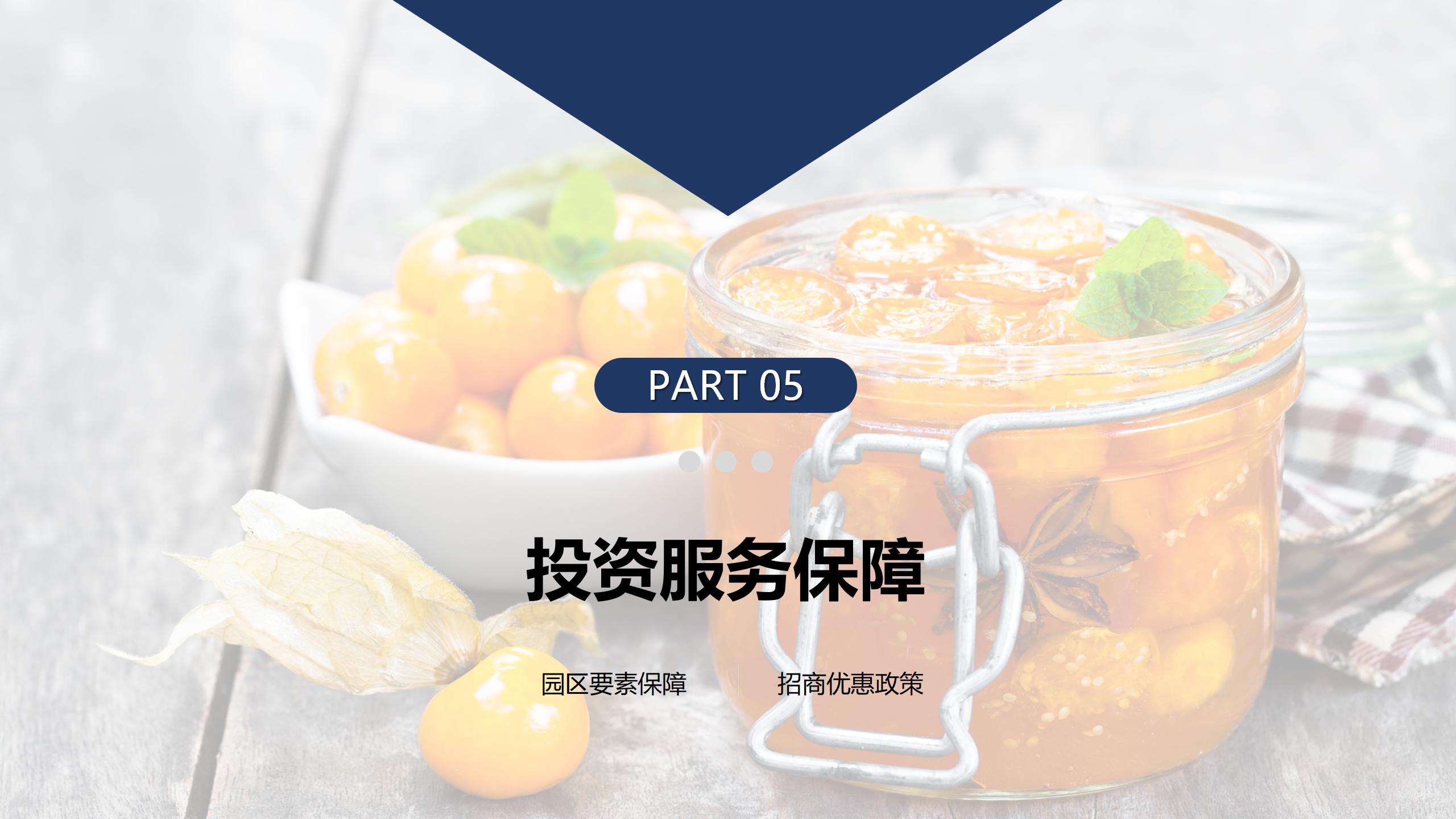 貴陽市觀山湖區(qū)金栗食品產(chǎn)業(yè)園PPT.（20250214）pptx_16.jpg