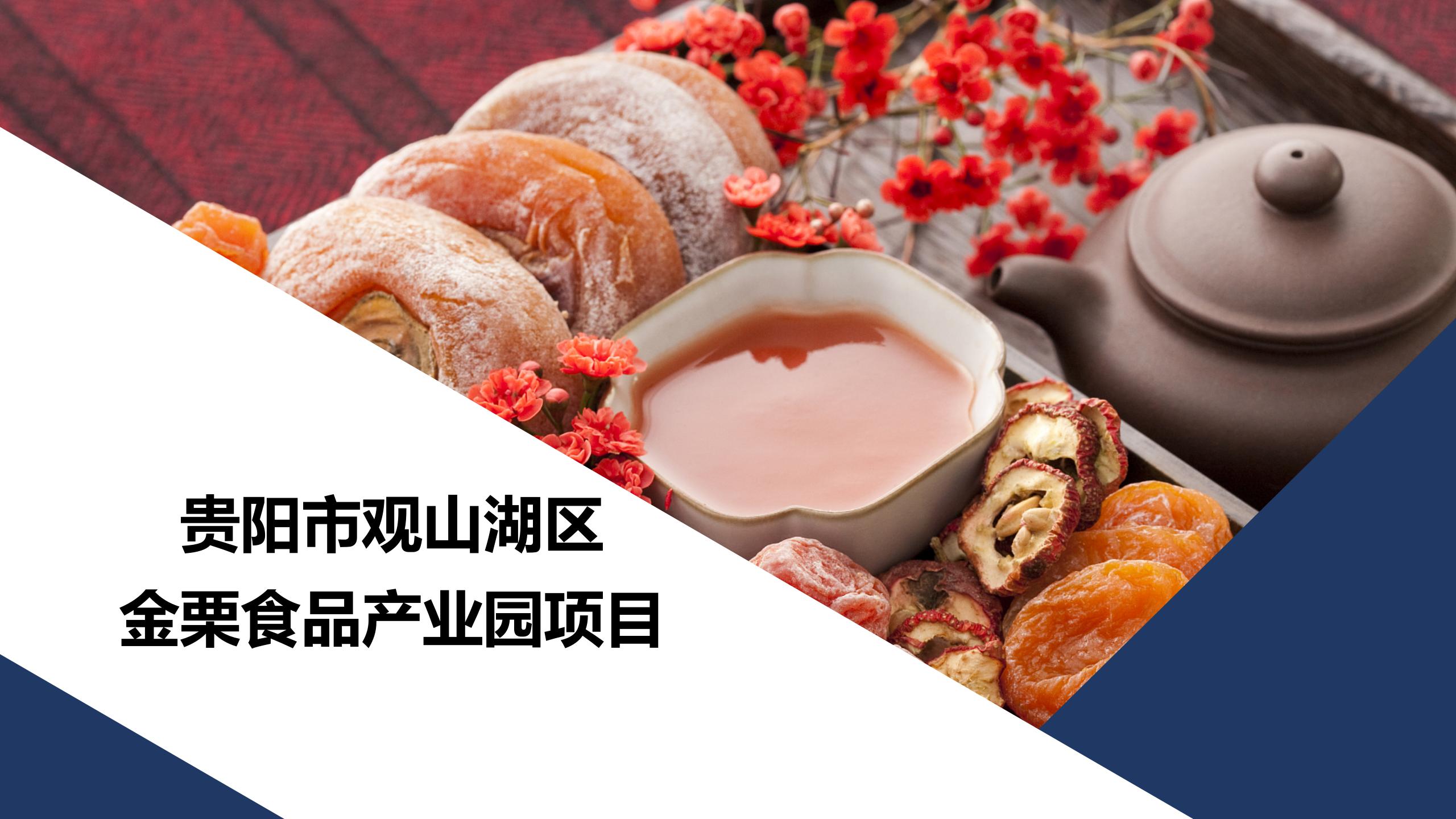 貴陽市觀山湖區(qū)金栗食品產(chǎn)業(yè)園PPT.（20250214）pptx_01.jpg